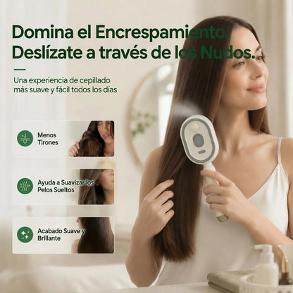 Cepillo Profesional Antifrizz 2 en 1